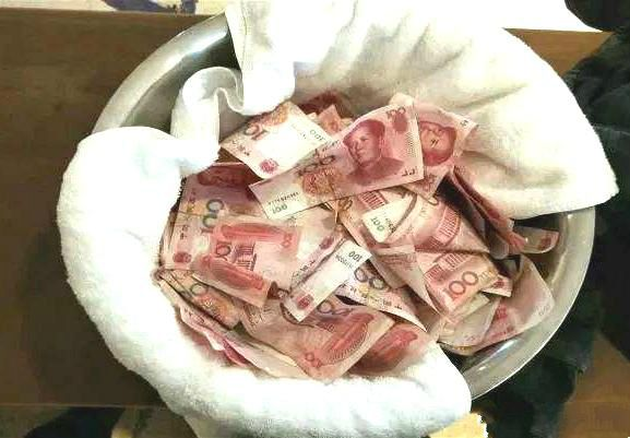 杨德贵与特异功能研究：遁术的神秘面纱